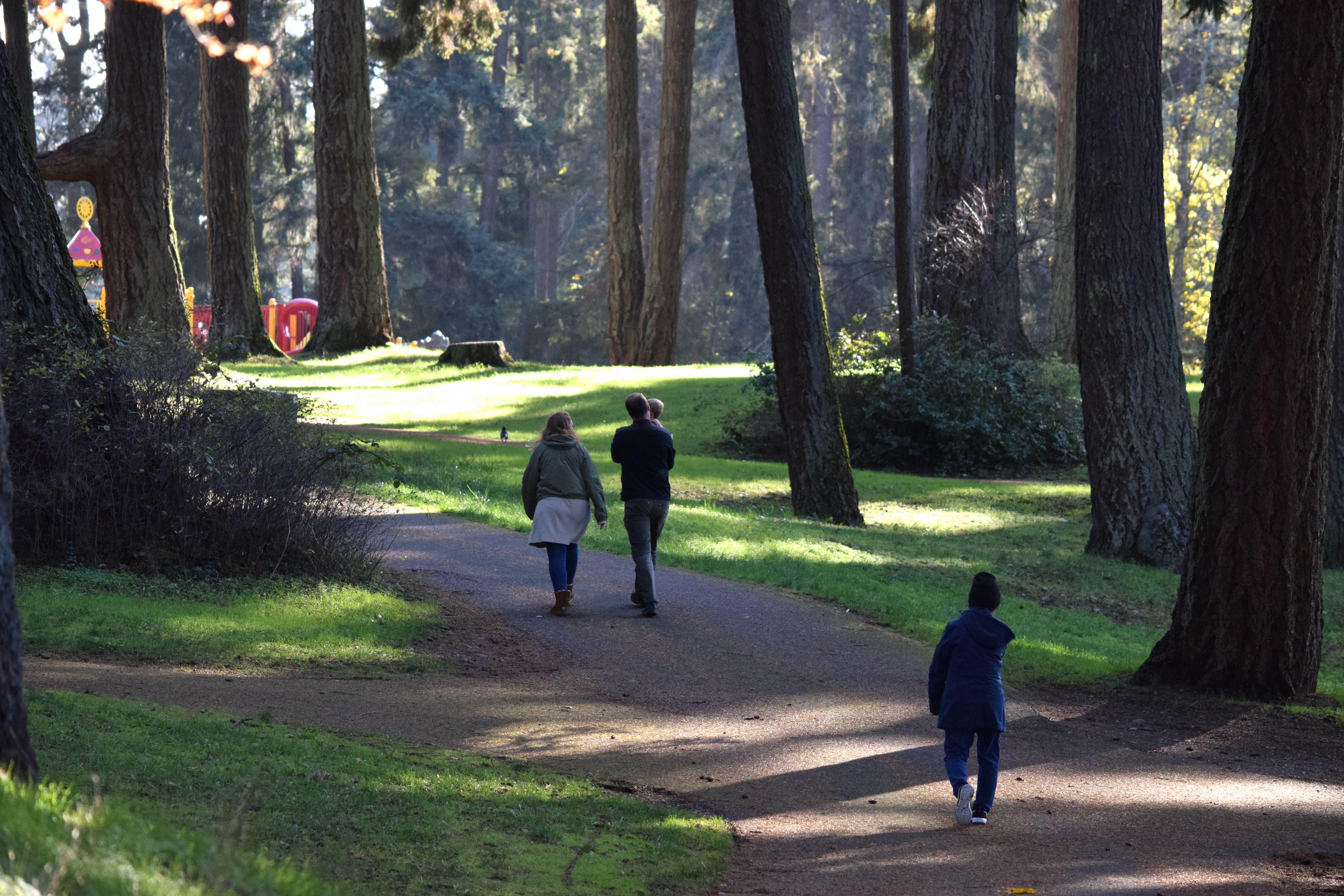 people meandering through a wooded park