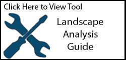 Click here to view tool: Landscape Analysis Guide