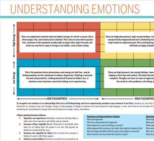 screencap preview of Mood meter understanding emotions handout