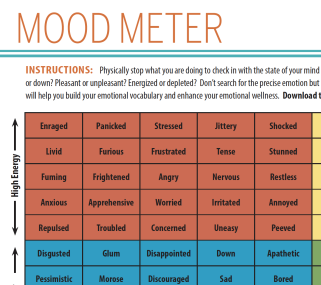 Mood Meter Chart