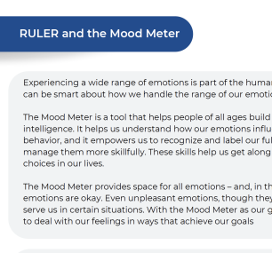 Ruler and the Mood Meter