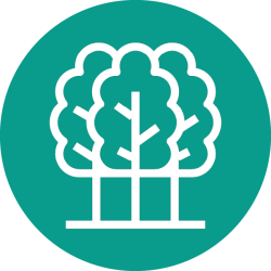icon: three trees